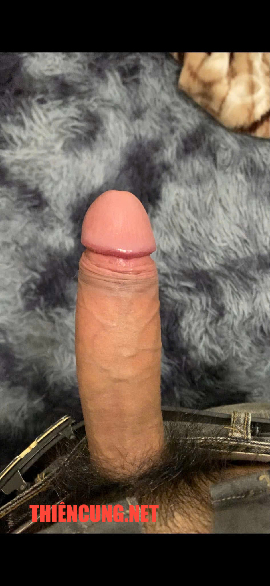 IMG_2415